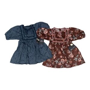 NWT Modern Moments by Gerber Baby Girl 3T Dress Set - Floral & Blue (2 Pack)